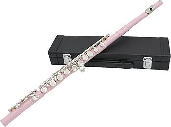 Amazon | 木管楽器 フルート 16穴 Cキー 7色選択可能 演奏 セット